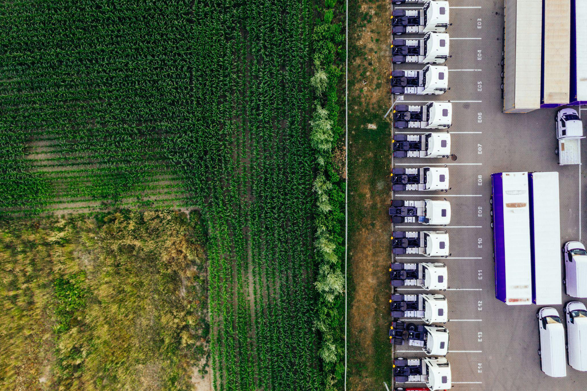 trucks-in-field